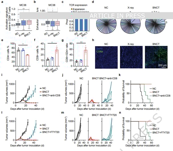 b3844da05d004bb09cd66e3bc0d8022c-sEAR8ZL