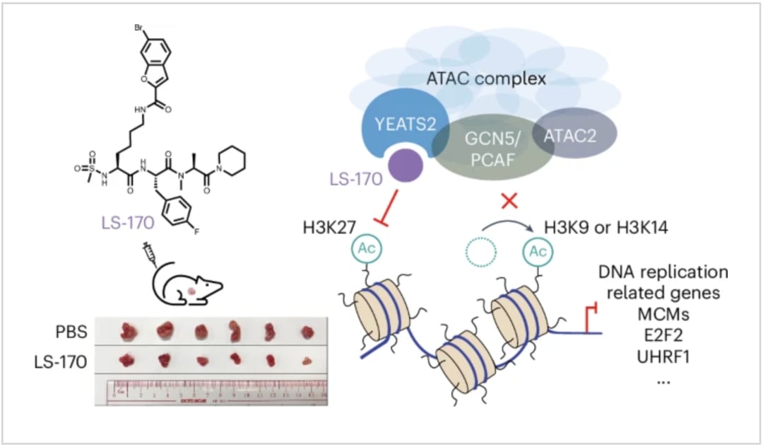 e0e903cc83344167bbe9a66700427366-VcKiN3P