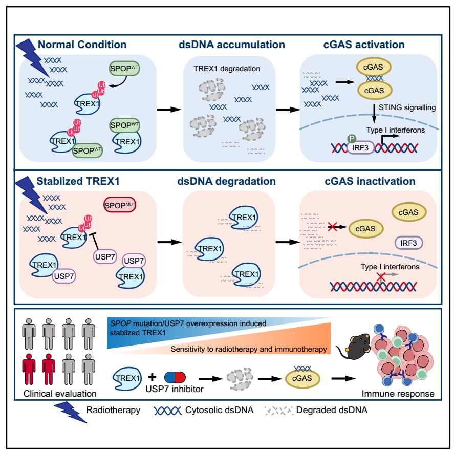 e2505b348510400d9a7b649549f9db8f-GA0vLDZ