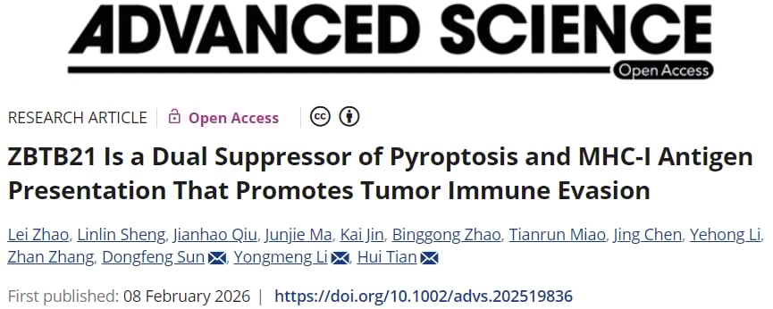 肿瘤免疫逃逸机制：转录因子ZBTB21同时抑制细胞焦亡与抗原呈递示意图