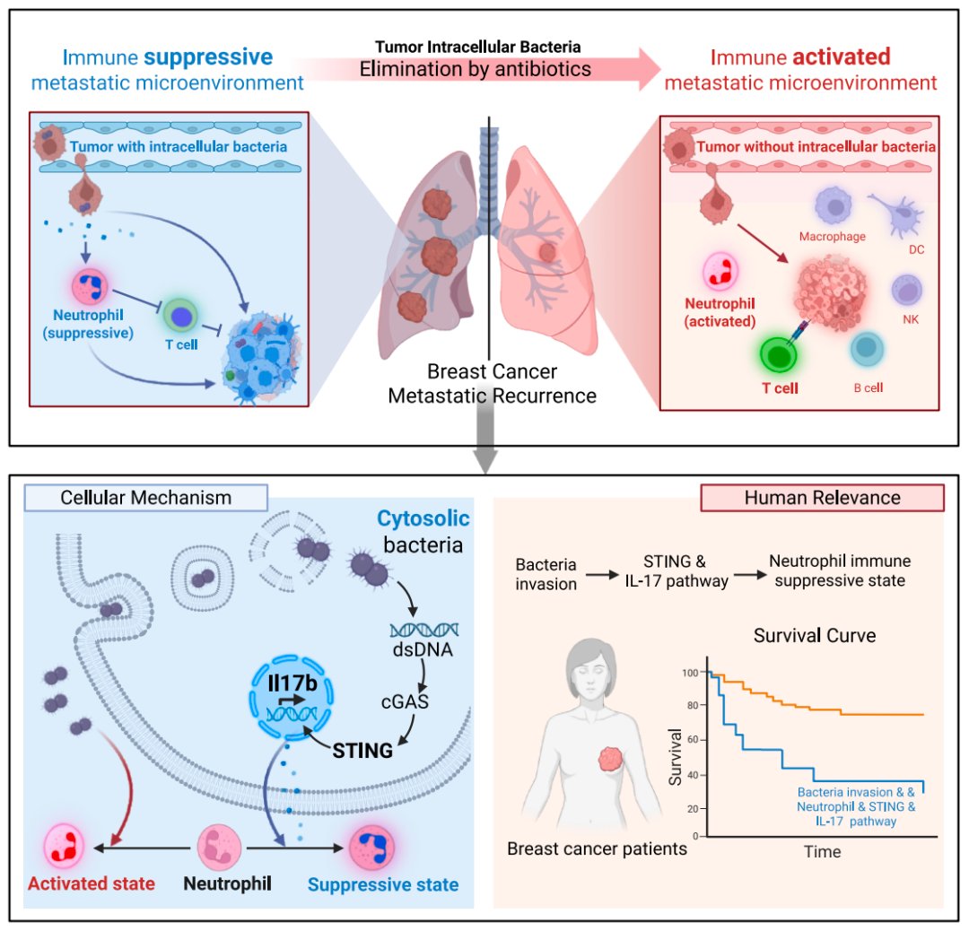 13f35d56397048039cfdd5faea82a007-e92QmUP