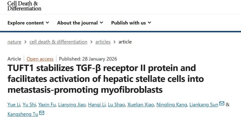 1b53503c6bb542afb0276deb34d3b1a9-z265JJM