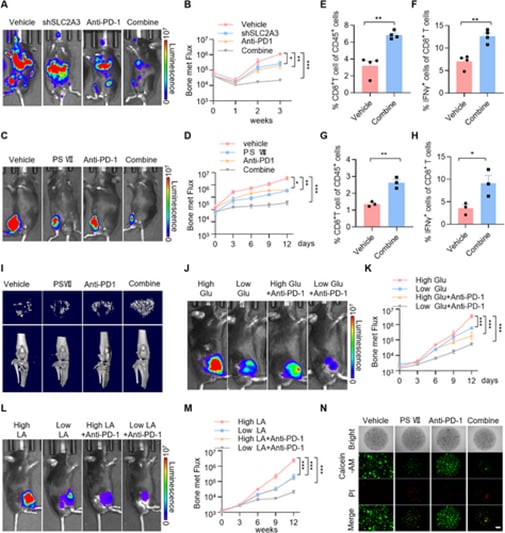 46320d3033fb4972ba33de0aa54e4d95-TcSMQSm