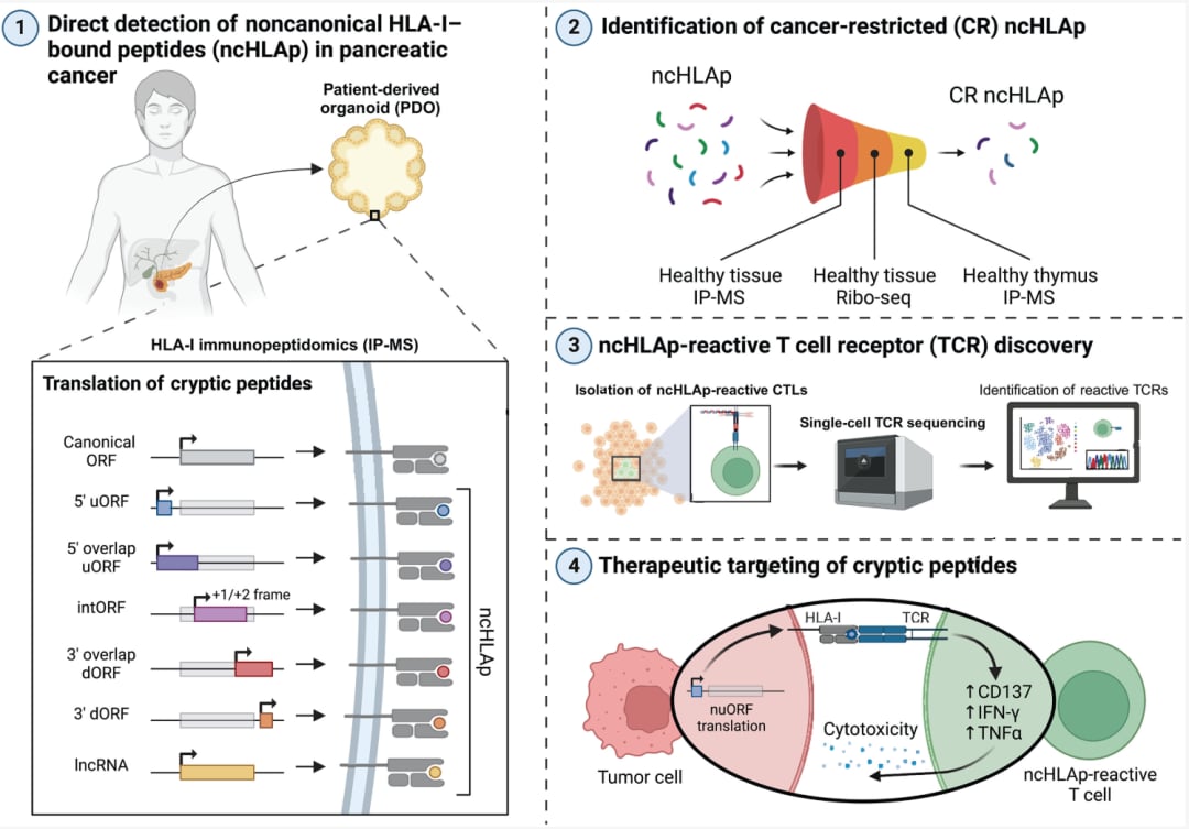 64b28e353c2e429e948e6a9bfe17341c-KboS22B