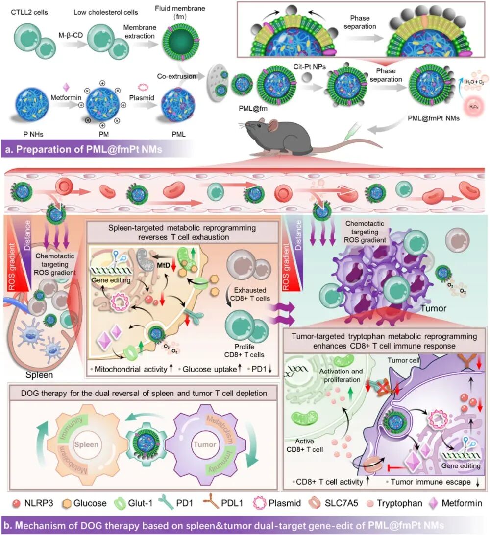 80ea983167ab4235aea6a235a1768731-LuCzUKv