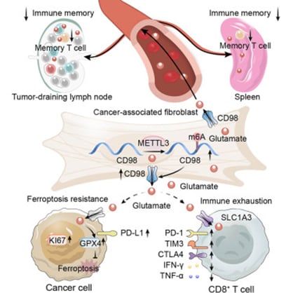 8e70dfe1c3bd4b3e9e6f6ab9aedb6015-NDAlO13