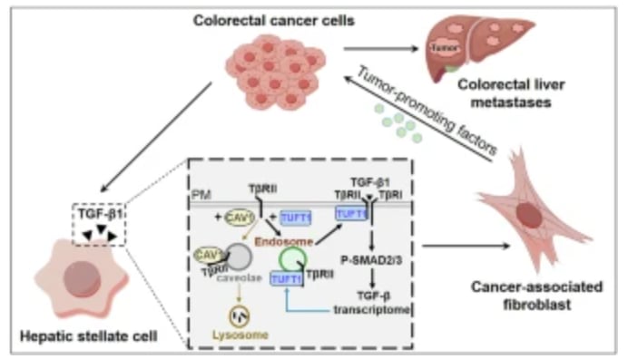 8ef90ac53a154a4ca1adb630daca003b-okjE00B