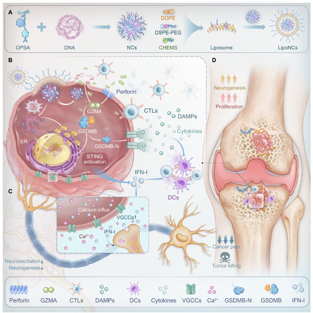 96bcf420383241a38d2c89ff260e3260-41DD8C3