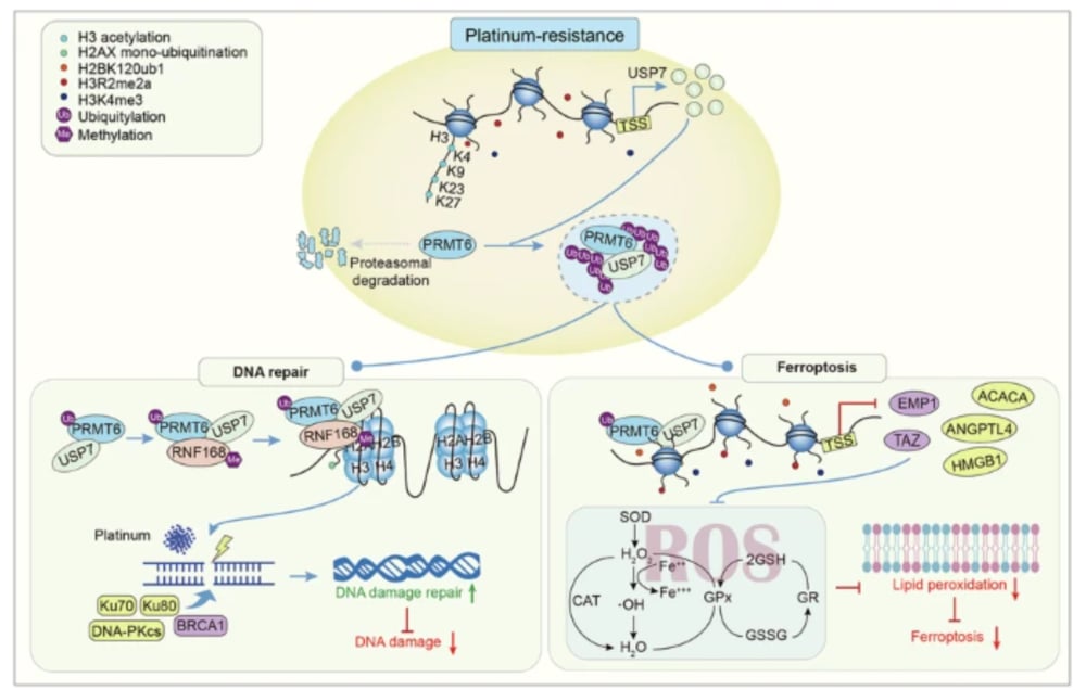 978636462a9c410389897708281-CthS6XC