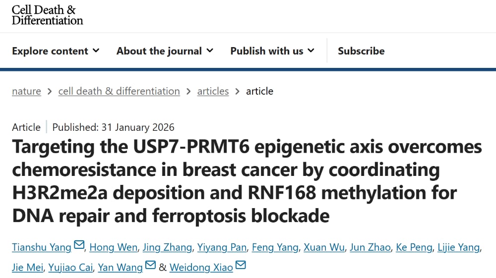 b33c1200564c43009ca22e81d584927d-eMhLXZu