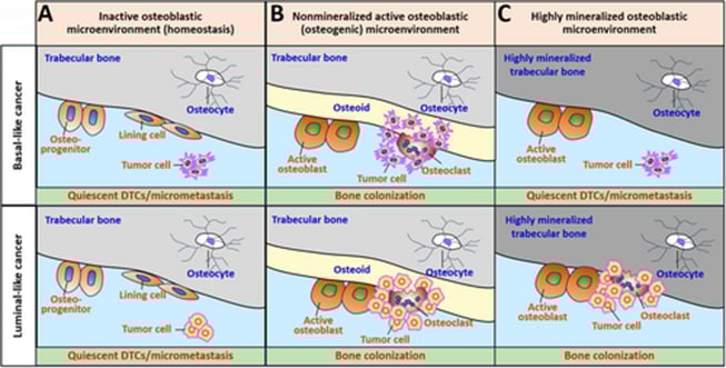 b6c1aea5927b4f69922d146a557f7a2f-OUOyFdR
