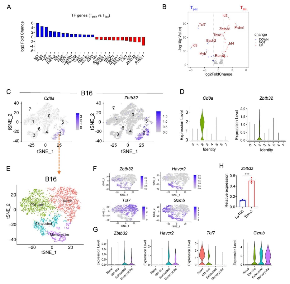 c939fa93af244de3b11c32be7c6952d4-hP8YtGn
