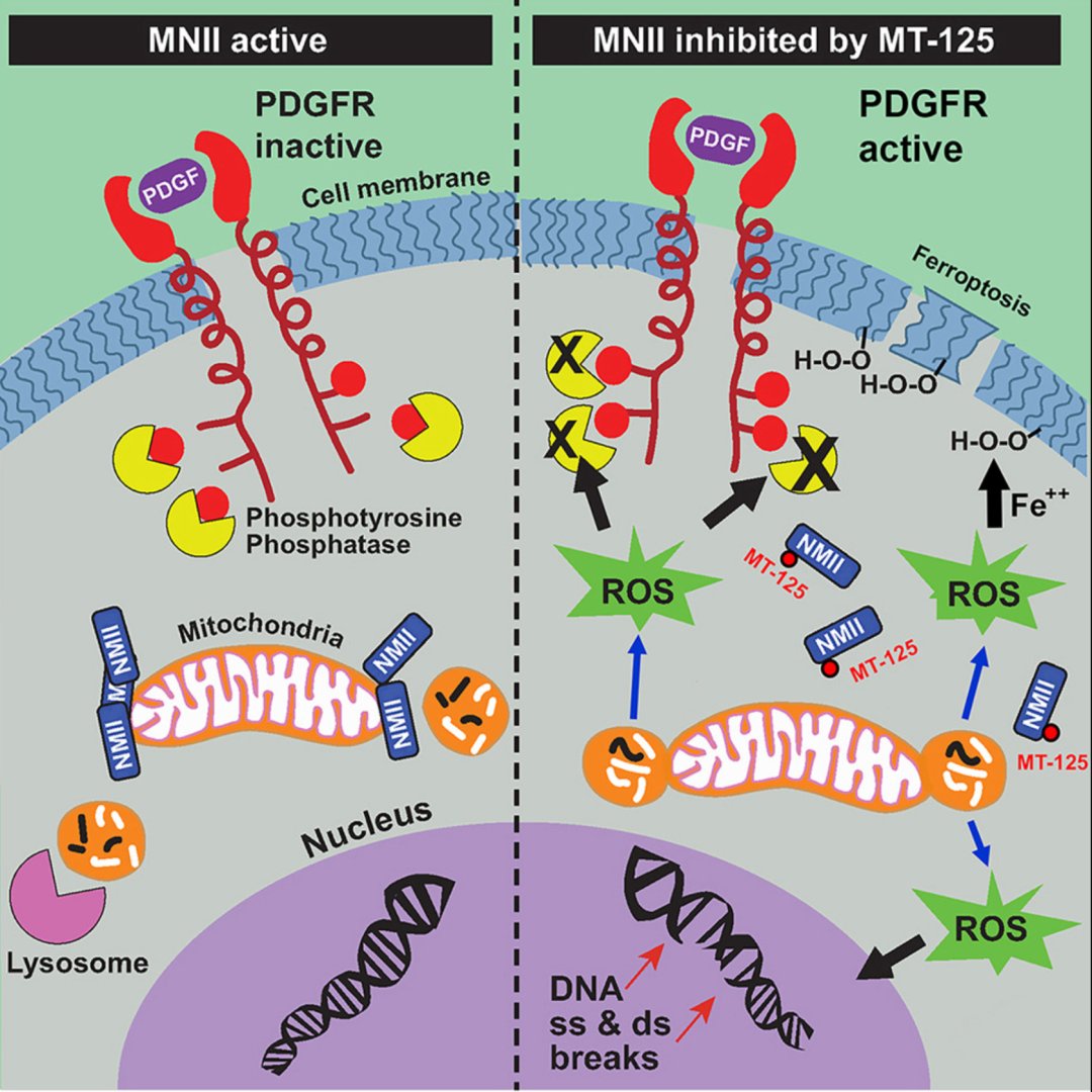 d1317d2d09ae4630adc2cdd28f7582df-jXMpPQE
