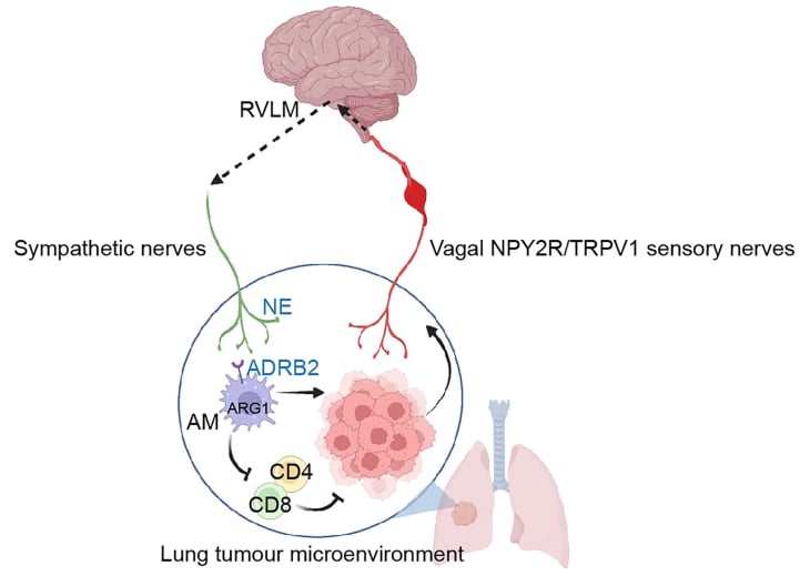 d33563b687bc43d7878d0ca634aaf90e-UCojUP2