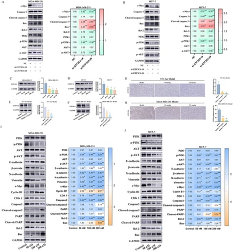 e735a592d92049d9a48acd6514ae20f7-X3xc8ff