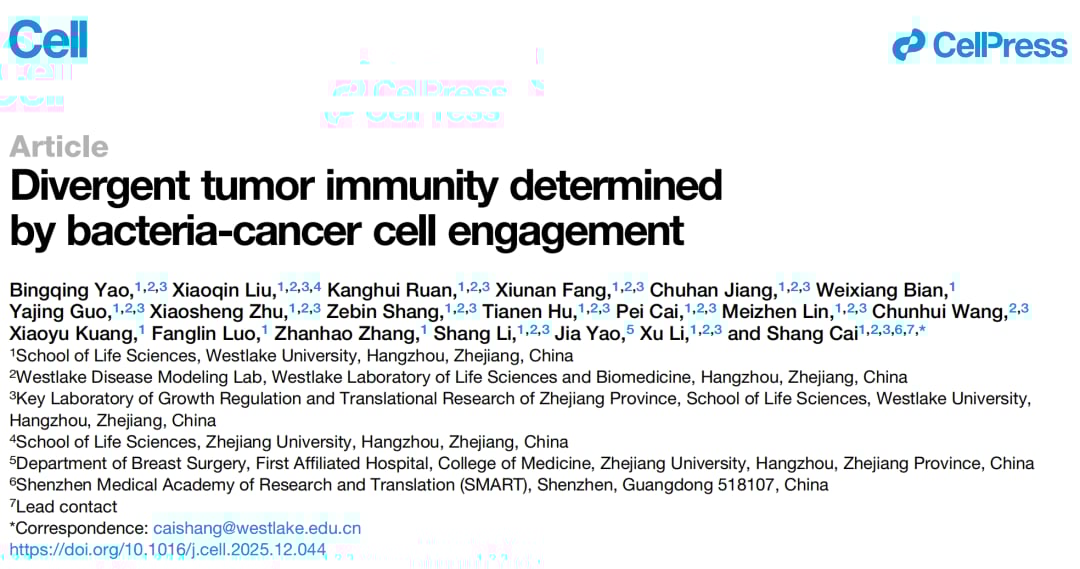 e97de20ac7994646854ed02b020d9847-Xjr81fe