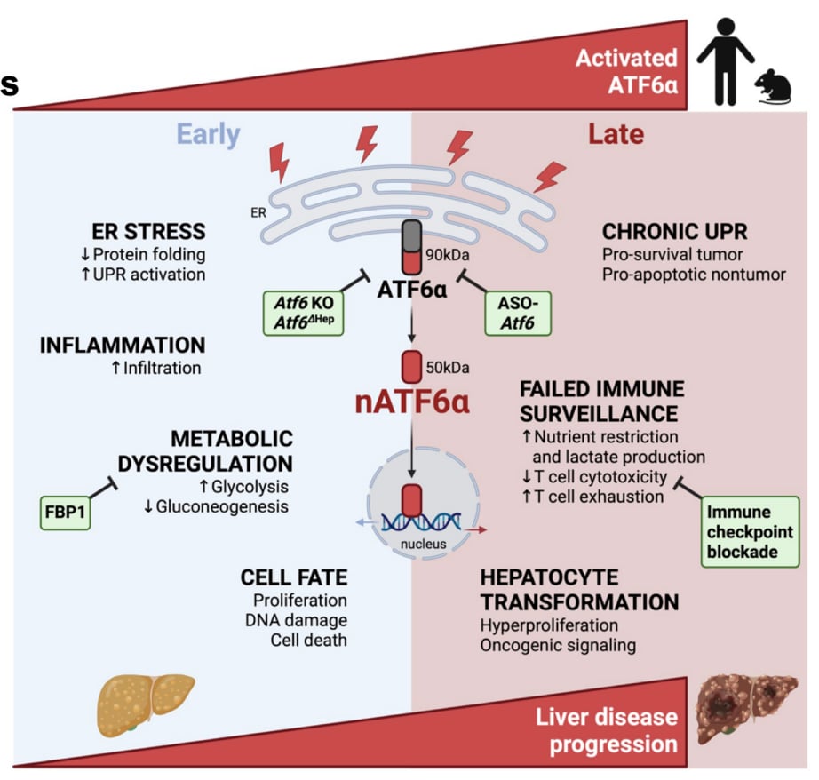 ecb4f7ec88b24382a1427bc70ed71cdb-CeLMxoo
