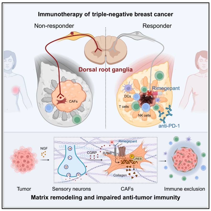 fdd506bdd3e44cd0bd989f6cc8409625-ADsKEgh