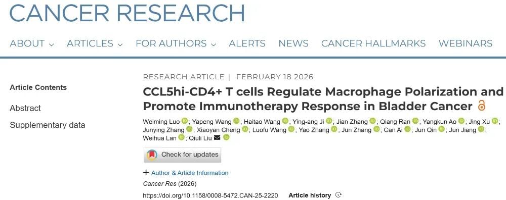 膀胱癌免疫治疗中CCL5hi-CD4+ T细胞与巨噬细胞互作机制图