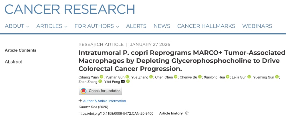 普雷沃菌通过消耗GPC操纵巨噬细胞极化机制示意图，揭示结直肠癌免疫抑制新范式