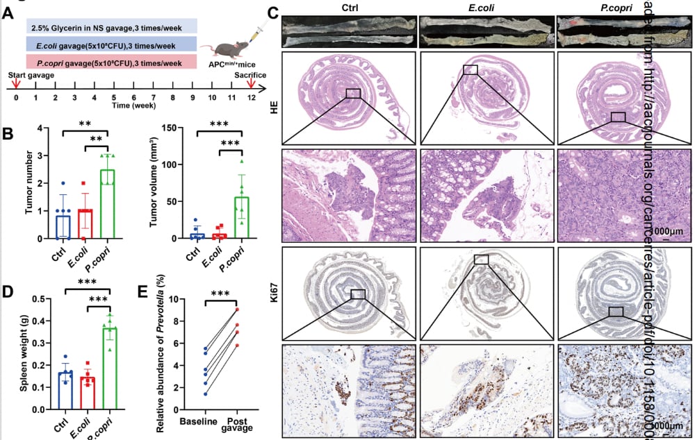 8885ac6c18314d2a94891c6d423f18c3 QUNUd16Q2DeE