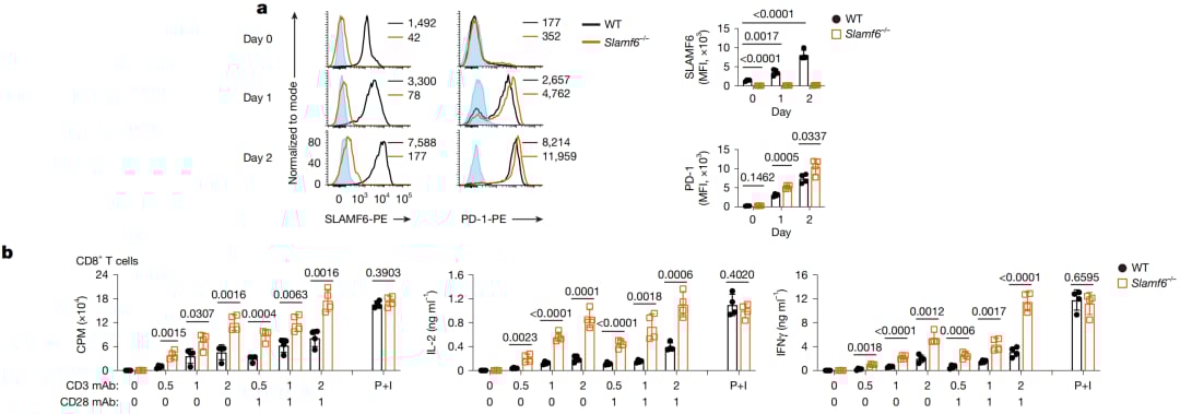 SLAMF6缺失增强T细胞激活与抗肿瘤免疫能力的临床前研究数据图，揭示潜在治疗机制