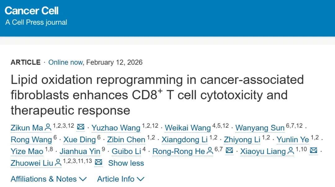 肿瘤相关成纤维细胞（CAFs）脂质氧化重编程与免疫细胞活化示意图