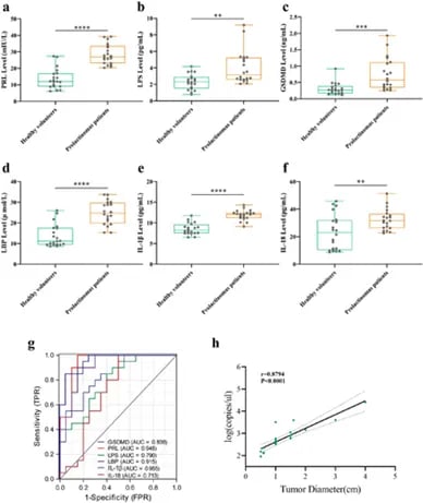 DRD2缺陷介导垂体腺瘤发病依赖肠道大肠杆菌易位机制图