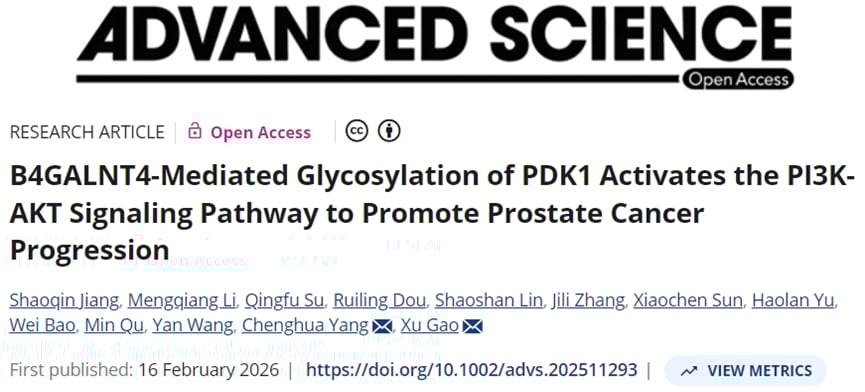 前列腺癌中B4GALNT4通过PDK1糖基化激活PI3K-AKT通路的机制示意图