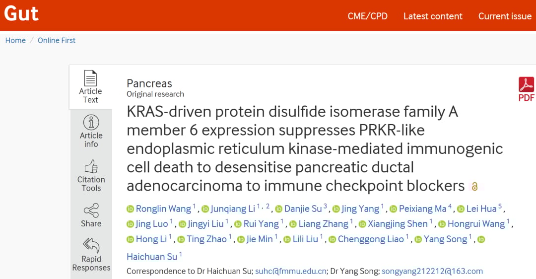 KRAS驱动PDIA6抑制胰腺癌免疫原性细胞死亡的关键实验数据