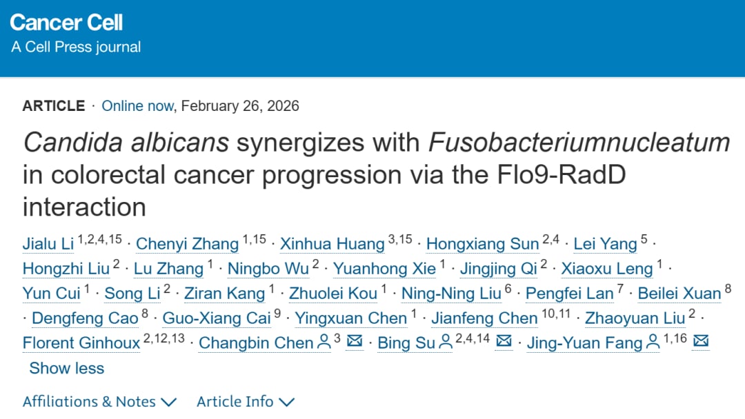 结直肠癌中白色念珠菌与具核梭杆菌通过Flo9-RadD相互作用协同促癌的机制图
