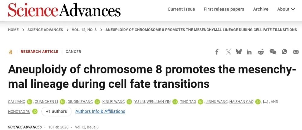 西湖大学研究揭示8号染色体增益促进肿瘤发生的机制图解