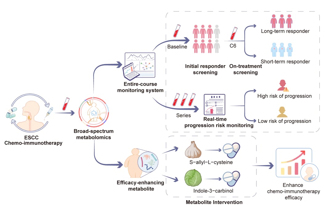 食管鳞癌化疗免疫治疗期间的代谢物预测模型与饮食干预动态监测路线