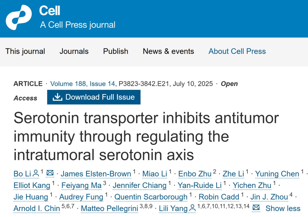 SERT蛋白在肿瘤浸润CD8 T细胞中的表达及其对免疫微环境的影响机制图