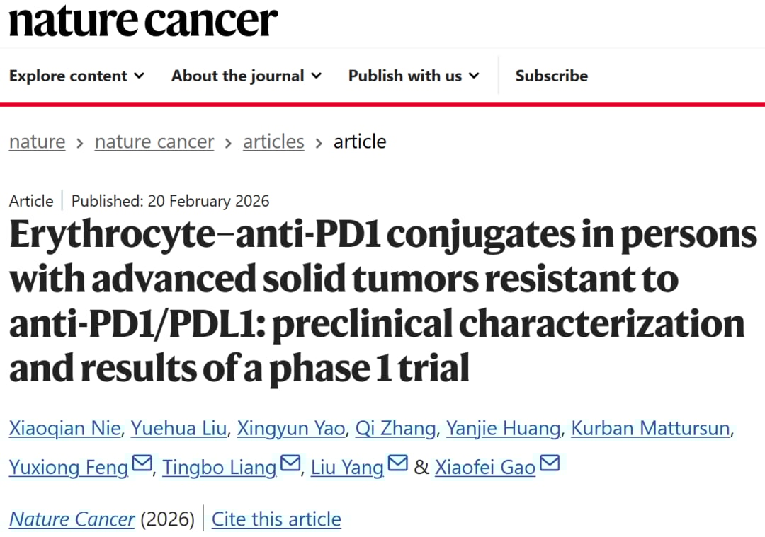西湖大学高晓飞团队研发的αPD1-Ery红细胞抗体偶联药物结构与作用机制图解