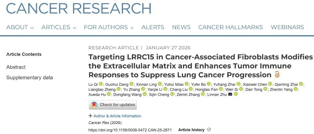 LRRC15阳性癌症相关成纤维细胞(CAF)在肺癌肿瘤微环境中的空间分布与免疫抑制机制示意图