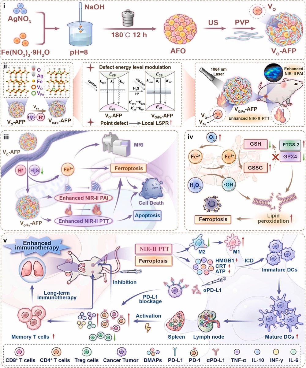 肿瘤微环境激活的缺陷工程增强光热协同铁死亡诱导免疫反应机制图