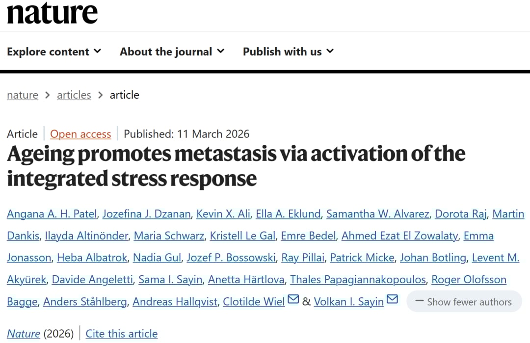 衰老与癌症关系示意：衰老相关改变与肿瘤进展、转移和免疫抑制的关联