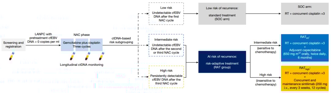 EP-STAR试验设计方案图：基于ctDNA清除轨迹进行鼻咽癌风险分层与治疗调整