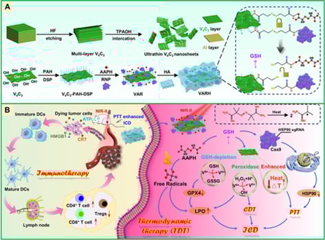 VARH纳米平台合成路线与CRISPR光热自由基协同抗肿瘤机制图