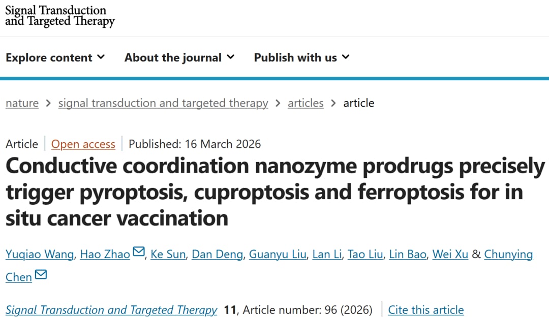 Cu–DHN导电配位纳米酶前药用于原位癌症疫苗治疗的研究示意图