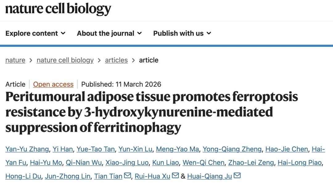 肿瘤周围脂肪组织（PAT）与肿瘤细胞的相互作用示意图