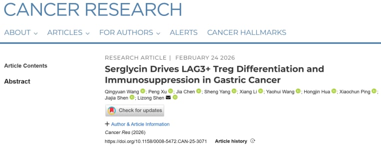胃癌中丝甘蛋白聚糖驱动LAG3阳性Treg分化的机制示意图