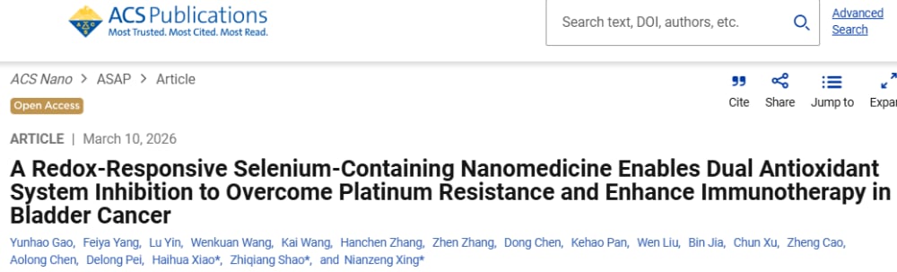 膀胱癌含硒纳米药NP2增强顺铂与免疫治疗的研究示意图