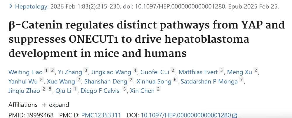 肝母细胞瘤研究示意图：YAP与β-Catenin通路分工及ONECUT1抑癌线索