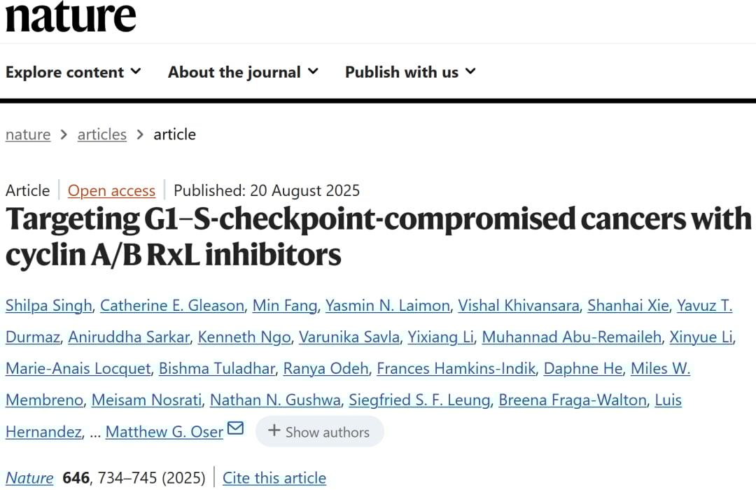 小细胞肺癌RxL相互作用靶向：环状肽抑制细胞周期蛋白底物结合示意图