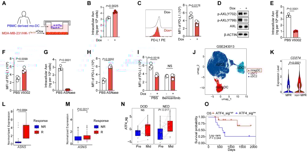 ATF4及PD-L1低表达树突状细胞预测癌症患者预后的数据图表