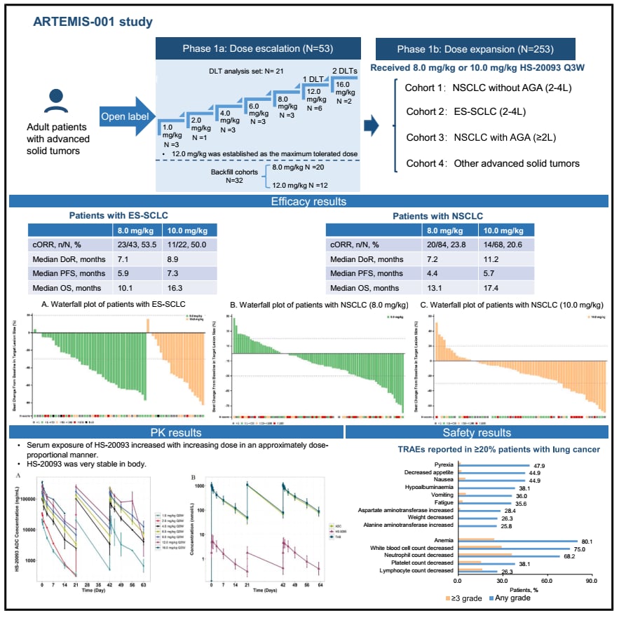 B7-H3靶向ADC药物Risvutatug rezetecan（HS-20093）的分子结构与作用机制示意图