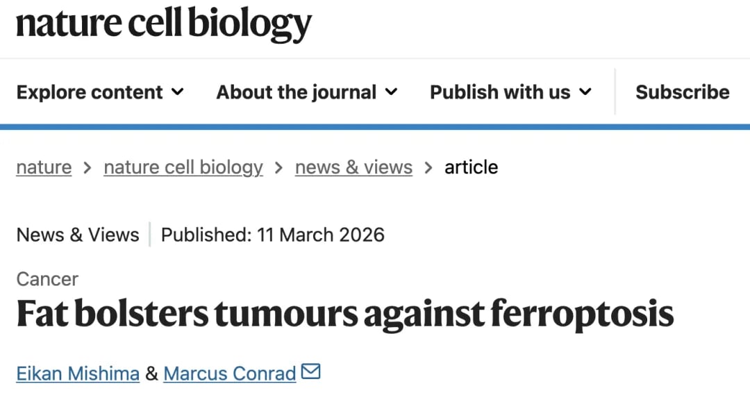 PAT-KYN-铁蛋白自噬信号轴及靶向策略示意图