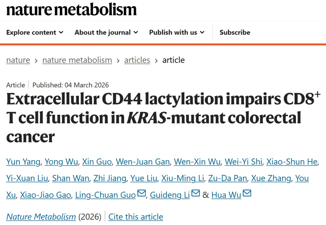 肿瘤微环境乳酸对CD8+T细胞CD44乳酸化的影响示意图